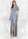 Johanna A-Line Pleated Mesh Floor-Length Dress SJSP0019633