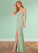 Belinda Mermaid Side Slit Stretch Chiffon Floor-Length Dress SJSP0019781