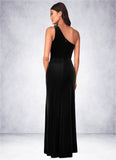 Delaney A-Line One Shoulder Velvet Floor-Length Dress SJSP0019642