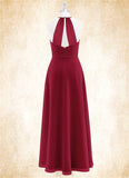 Alexandra A-Line Pleated Chiffon Floor-Length Dress SJSP0019722