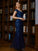Bridget Sheath/Column Tulle Applique V-neck Short Sleeves Floor-Length Mother of the Bride Dresses SJSP0020241