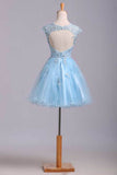 Scoop Short/Mini Prom Dress A Line Tulle Skirt Embellished Bodice With Beads And Applique Cap Sleeve