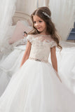 New Arrival Scoop Tulle With Applique Ball Gown Flower Girl Dresses