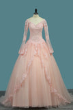 V Neck Quinceanera Dresses Ball Gown Long Sleeves Tulle With Applique