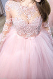 Pink Ball Gown Jewel Long Sleeves Sweep/Brush Train Lace Tulle Evening Dresses