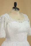 Mid-Length Sleeves Scoop Wedding Dresses A Line With Applique Organza