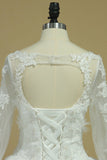 V Neck Long Sleeves Wedding Dresses With Applique Organza Open Back