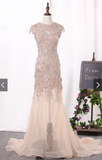 Open Back Mermaid Prom Dresses Scoop Tulle With Applique Court Train