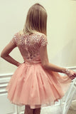 Long Sleeves Homecoming Dresses Scoop Chiffon With Applique Short/Mini