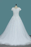 Tulle Wedding Dresses V Neck Short Sleeves With Applique Court Train
