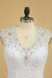 Plus Size Mermaid Wedding Dresses V Neck With Beads And Applique Court Train Tulle