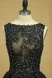 Black Sexy Bateau  A-Line Prom Gown Sweep Train With Beads & Applique