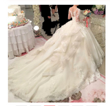 Ball Gown Ivory Sweetheart Sweep Train Long Tulle Long Sleeves Appliques Wedding Dresses