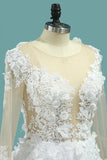 Gorgeous Wedding Dresses A-Line Scoop Long Sleeves Tulle With Applique Chapel Train