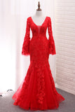 V Neck Long Sleeves Tulle Evening Dresses Mermaid With Applique