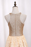 Homecoming Dresses A Line Scoop Sequin&Lace Short/Mini