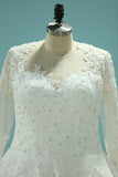 Tulle V Neck Long Sleeves Wedding Dresses A Line With Applique