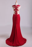 Scoop Mermaid Prom Dresses Spandex With Applique