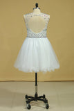 Scoop Beaded Bodice A Line Prom Dress Short/Mini With Tulle Skirt White Plus Size