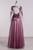 See-Through Prom Dresses Scoop Long Sleeves Tulle With Applique A Line