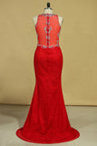 Red Plus Size Prom Dresses Scoop Beaded Bodice Sweep Train Lace Mermaid