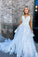Mist Lace A-Line Spaghetti Straps Appliques Tulle Formal Evening Dresses Long Prom Dresses