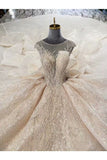 Ball Gown Wedding Dresses Scoop Top Quality Appliques Tulle Beading