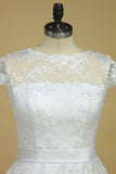 Plus Size Scoop Short Sleeve Knee-Length A Line Lace With Sash Wedding Dresses