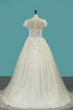 Scoop Short Sleeve With Applique Tulle Court Train Wedding Dresses