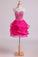 Homecoming Dresses Sweetheart A Line Organza With Beading Short/Mini
