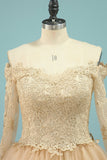 Wedding Dresses V Neck Long Sleeves Tulle With Applique A Line
