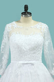 Bateau Wedding Dresses Long Sleeves A Line Court Train Tulle With Applique