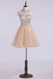 High Neck Homecoming Dresses A-Line Short Beaded Bodice Tulle