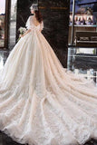 Ball Gown Wedding Dresses V Neck Half Sleeves Appliques Lace Up Back