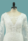 Elegant Mermaid Wedding Dresses Scoop Tulle With Appliques Long Sleeves Zipper Up
