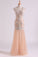 Classic Prom Dresses V Neck Mermaid/Trumpet Floor Length Tulle Champagne With Applique & Beads