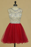 Scoop A Line Tulle Short/Mini Homecoming Dresses Fashion And Cute