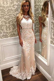 Charming Lace Mermaid Long Sexy Sleeveless Beading See Through Prom Dresses JS149