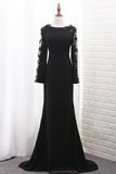 Scoop Long Sleeves Chiffon Mermaid Evening Dresses With Applique
