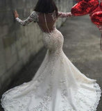 Sexy Long Sleeve Lace Mermaid Charming Chapel Trailing Wedding Dress