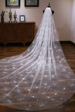 One-Layer Women White Trailing Long Wedding Veil