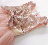 Little Girls Sequin Mesh Tulle Baby Dress Flower Girl Ball Gown Party Dress Prom FG1006