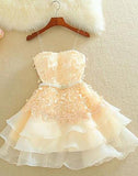 Cute A Line Sweetheart Spaghetti Straps Blush Pink Homecoming Dresses with Appliques JS933
