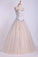 Quinceanera Dresses Sweetheart Beaded Neckline And Waistline Ball Gown Floor-Length Tulle&Lace