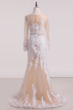 Tulle Wedding Dresses Bateau With Applique Mermaid/Trumpet