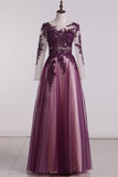 See-Through Prom Dresses Scoop Long Sleeves Tulle With Applique A Line