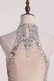 Short/Mini High Neck Prom Dresses Tulle With Beads And Rhinestones
