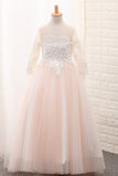 Scoop Flower Girl Dresses Ball Gown Long Sleeves Tulle With Aplique