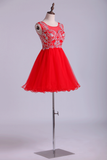 Scoop Beaded Bodice Homecoming Dresses A Line Short Tulle