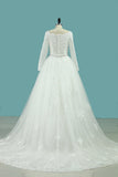 Long Sleeves V Neck Wedding Dresses Ball Gown Tulle With Applique & Beading Chapel Train